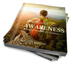 [Book] Seasons of Awareness